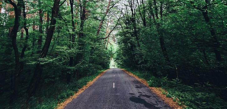 Carretera vacía