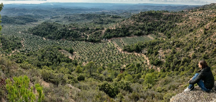 España, ante el reto de crear la figura de la socimi rural para impulsar la inversión en el campo