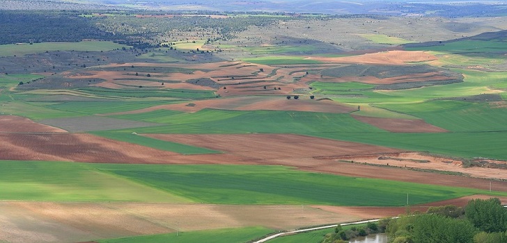 Juan Abelló y la Casa Alba, en el trono de los grandes propietarios de tierra de España 