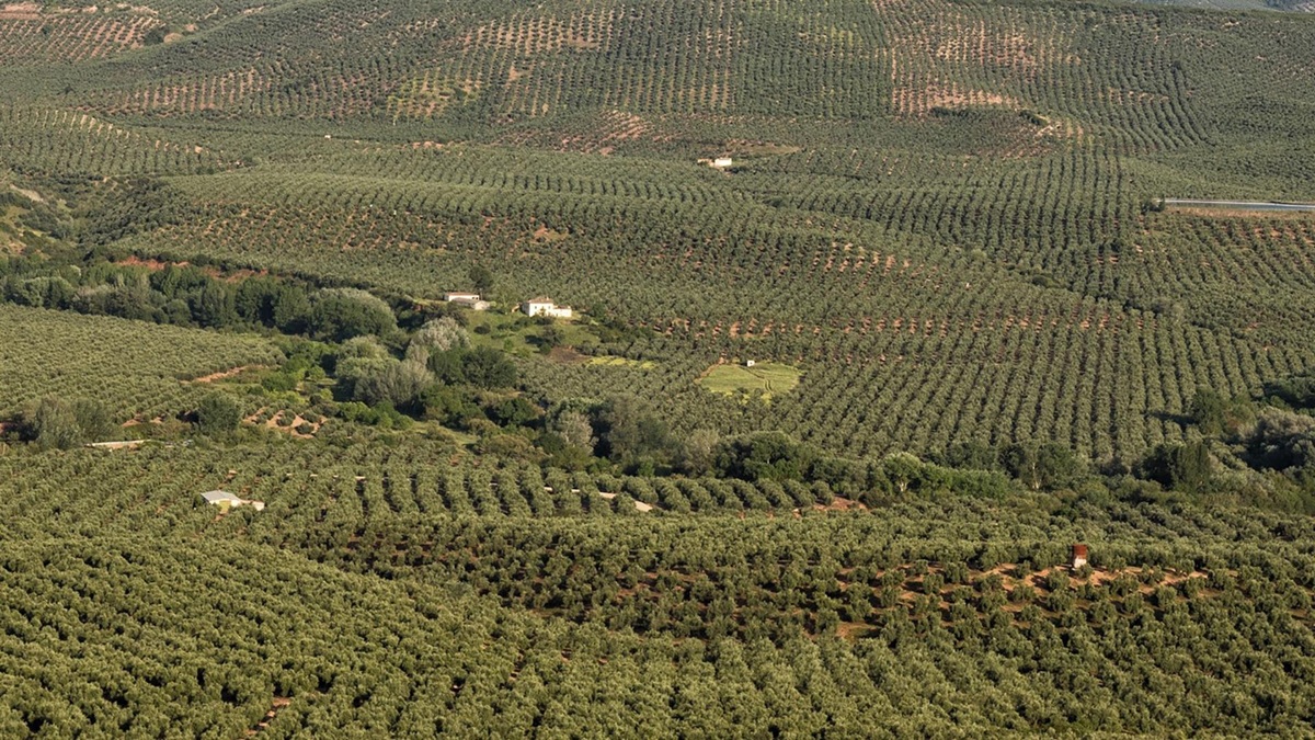 La gesti&oacute;n del agua hace fluir la inversi&oacute;n hacia el&nbsp;&lsquo;natural capital&rsquo;
