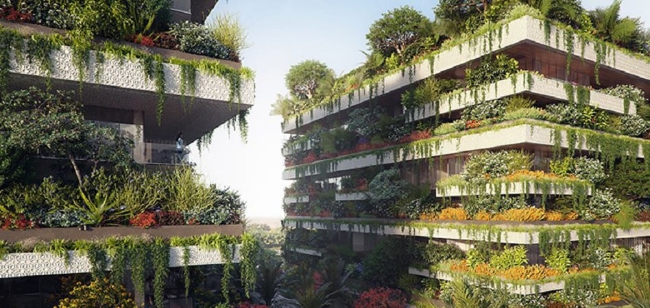 Un jardín vertical para vivir