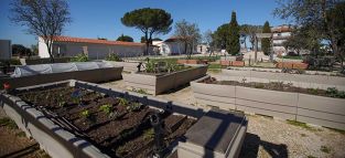 Las Rozas, una de las mejores ciudades ecológicas de Europa