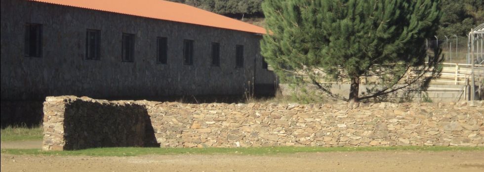 La compraventa de fincas rústicas crece el 7,1% en el mejor febrero desde 2007