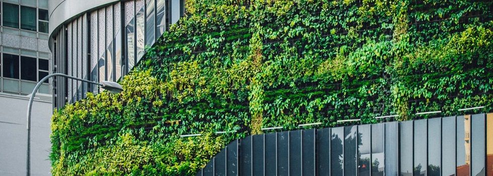 Inversa Prime cierra 2024 con unos ingresos de 3,4 millones, el 9,4% más