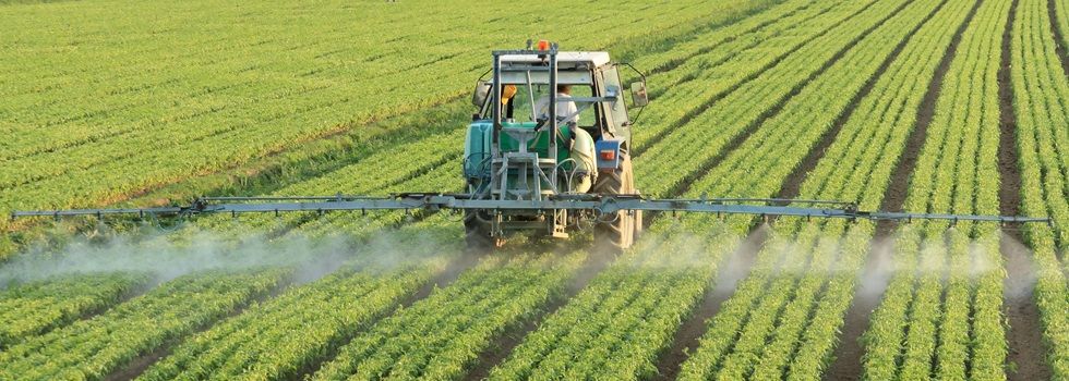 Beka y Bolschare Agriculture ampl&iacute;an su negocio de &lsquo;agrobusiness&rsquo; con un arrendamiento en Toledo