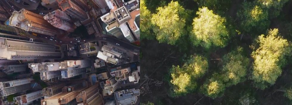 Lignum Tech Forest, nueva compañía de Vía Ágora y Gómez-Pintado para la gestión forestal