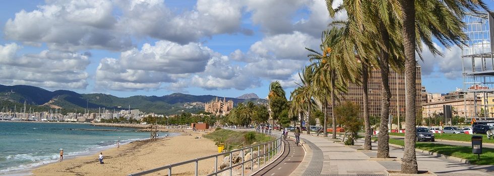 Endesa vende a un ‘family office’ 180 hectáreas junto a la bahía de Bolonia, en Tarifa