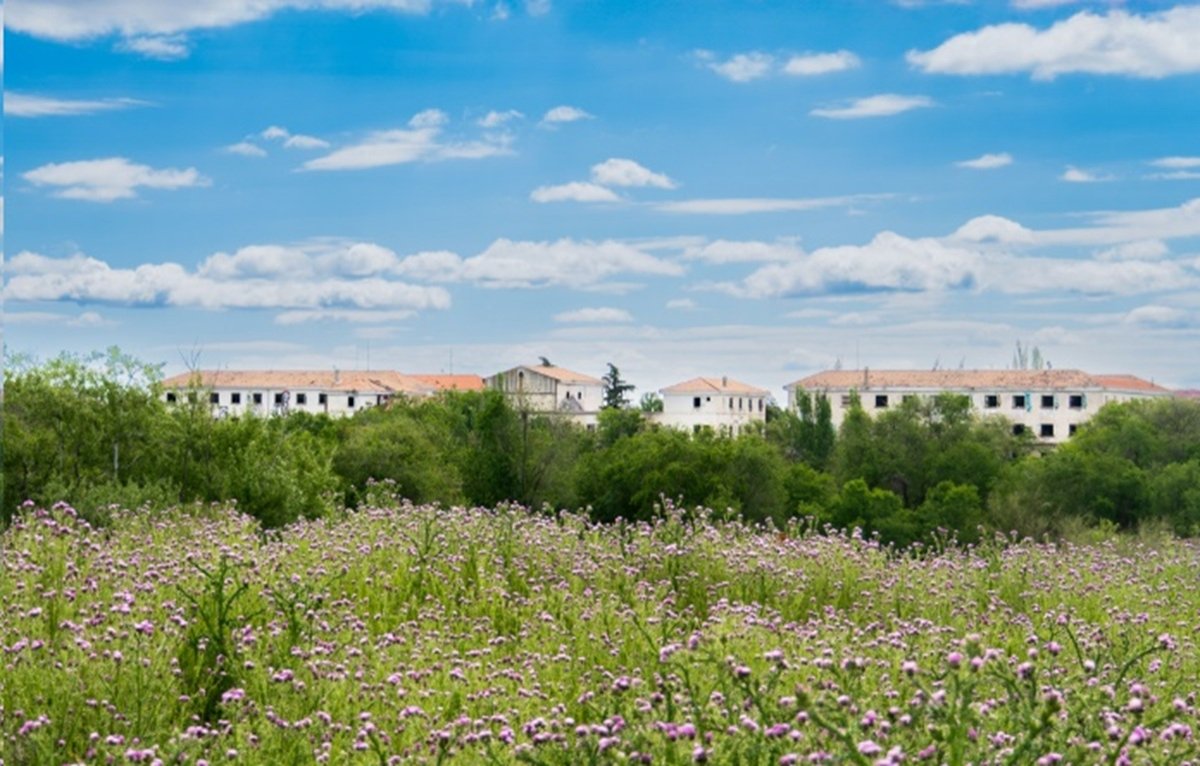 Ebrosa irrumpe en el gran proyecto de vivienda pública del Gobierno