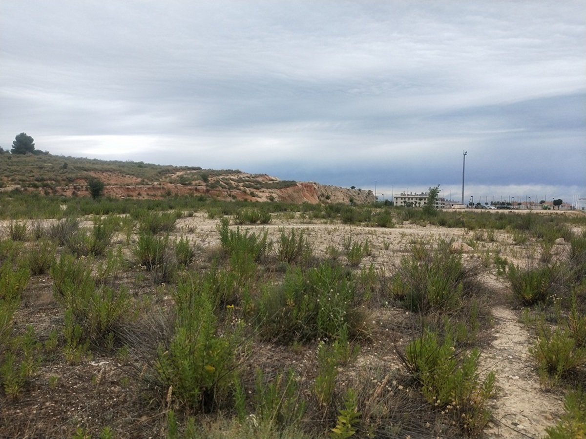 Sareb aumenta sus pérdidas un 28,6% en 2024, hasta los 2.826 millones