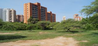 Descalabro en la compraventa de suelos: caída del 41%