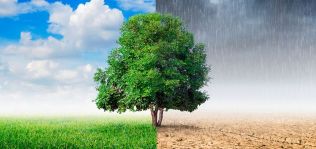 Menos libre, pero más verde: los planes para hacer ‘verde’ el comercio mundial