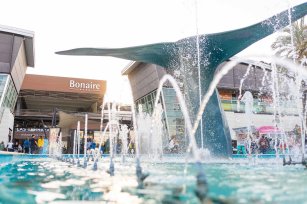 Castellana Properties logra beneficio r&eacute;cord de 61,8 millones en el semestre, el 87% m&aacute;s