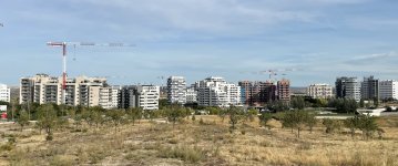 Un año de la Ley 3/2024: El sector clama extender plazos más allá de 2026