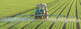 Beka y Bolschare Agriculture amplían su negocio de ‘agrobusiness’ con un arrendamiento en Toledo