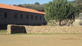 La compraventa de fincas rústicas crece el 7,1% en el mejor febrero desde 2007