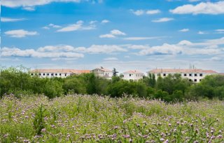 Ebrosa irrumpe en el gran proyecto de vivienda pública del Gobierno