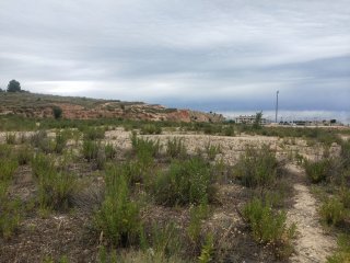 Sareb aumenta sus pérdidas un 28,6% en 2024, hasta los 2.826 millones